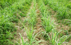 年末年始のお休みのご案内